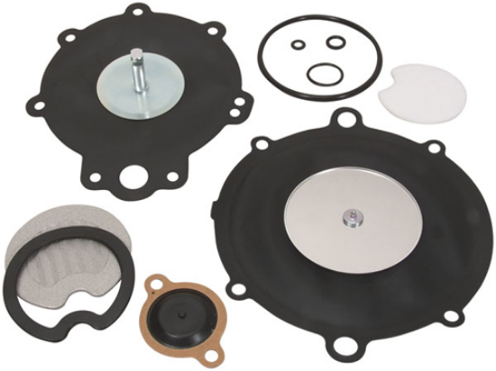 LPG Diaphragm Kit resmi