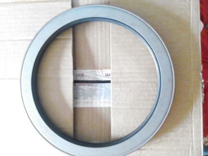 Oil Seal resmi