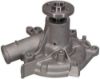 Water Pump resmi